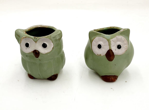 Mini Owl Planters