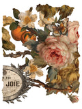 Joie des Roses - IOD Transfer
