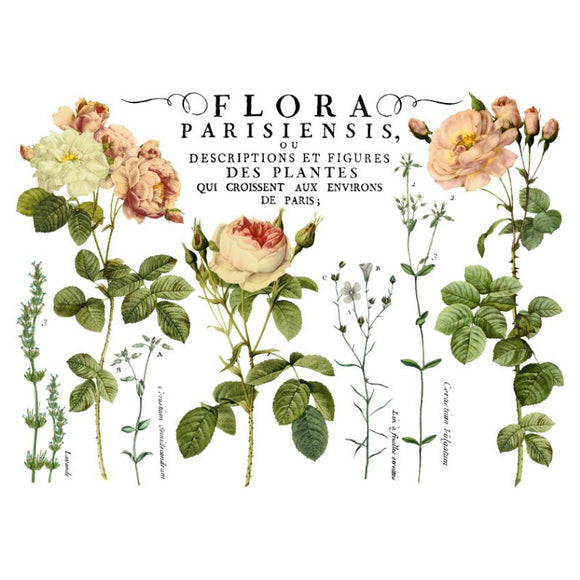 Flora Parisiensis - Decor Transfer Pad