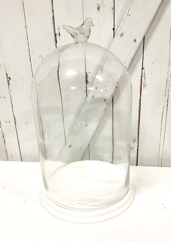 Large Glass Cloche