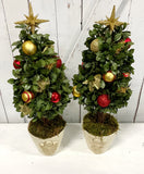 Pair Potted Xmas Trees