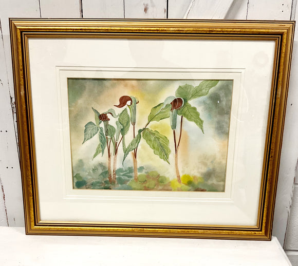 Jack in the Pulpit - Original Watercolour