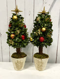 Pair Potted Xmas Trees