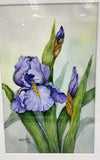 Iris - Original Watercolour