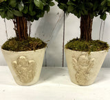 Pair Potted Xmas Trees