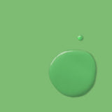 Antibes Green - Annie Sloan Chalk Paint