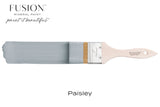 Paisley - Fusion Mineral Paint