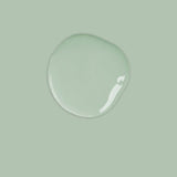 Duck Egg Blue - Annie Sloan Chalk Paint
