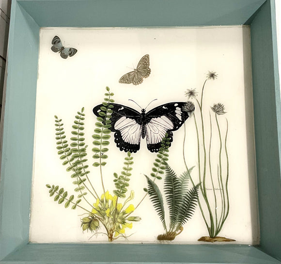 Butterfly Tray