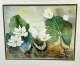 Woodland Gems - Watercolour