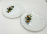 Fruits de France Plates
