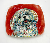 Dog Plates