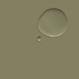 Olive - Annie Sloan Chalk Paint