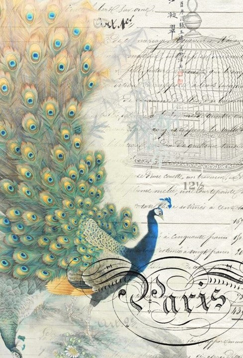 Peacock Ephemera Left - Decoupage paper - Roycycled