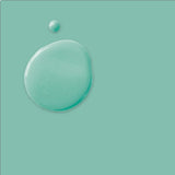 Provence - Annie Sloan Chalk Paint