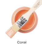 Coral -Fusion Paint