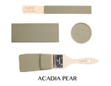 Acadia Pear - Fusion Paint