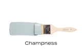 Champness - Fusion Mineral Paint