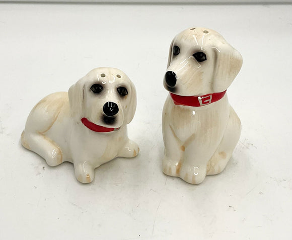 Golden Lab Salt Pepper