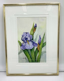 Iris - Original Watercolour