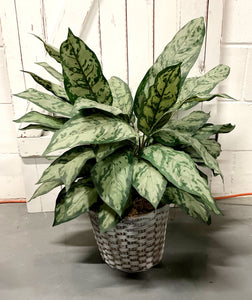 Faux Potted Plant