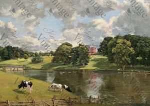 Cows by a River - Rice paper