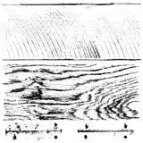 Barnwood Planks - Decor Stamp