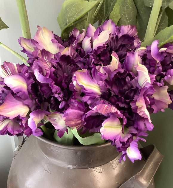 Purple Stem Tulip