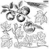 Fruitful Harvest - Stamp IOD