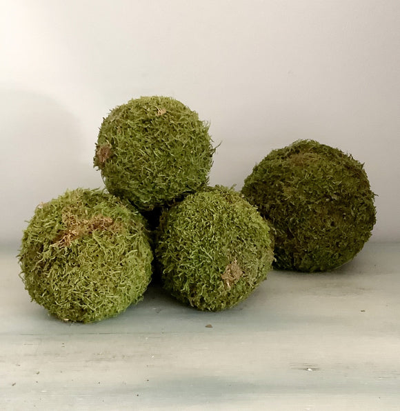 Natural Moss Balls