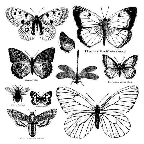 Butterflies - Decor Stamp