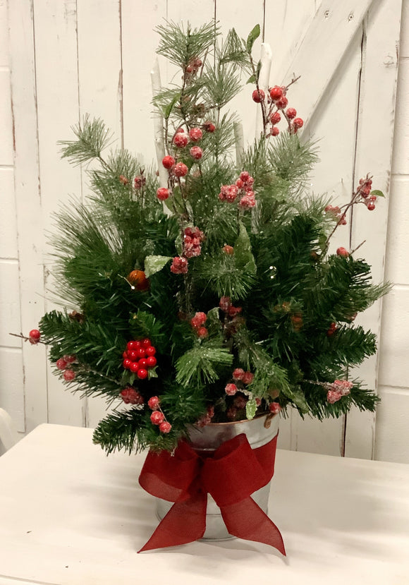 Potted Xmas Arrangement