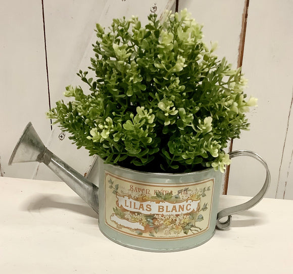 Decor Watering Can