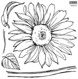 Sunflower - IOD Decor Stamp
